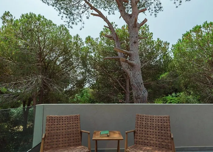 Luxury Mon Diom Ii Zakynthos