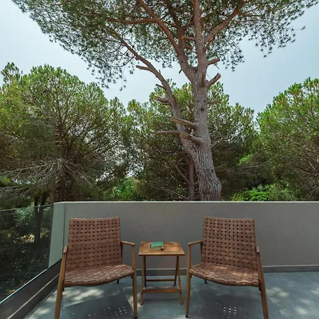 Luxury Mon Ii Vassilikos